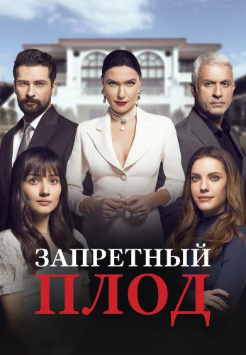 Запретный плод турецкий сериал